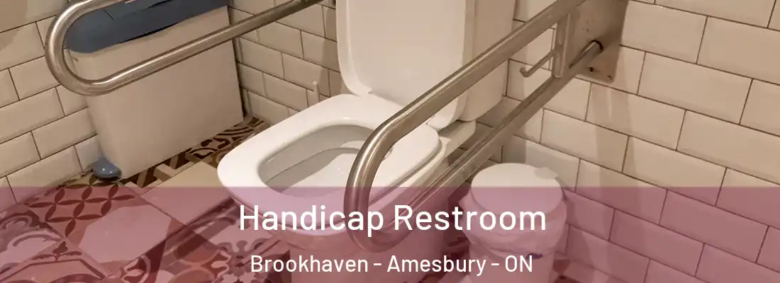  Handicap Restroom Brookhaven - Amesbury - ON