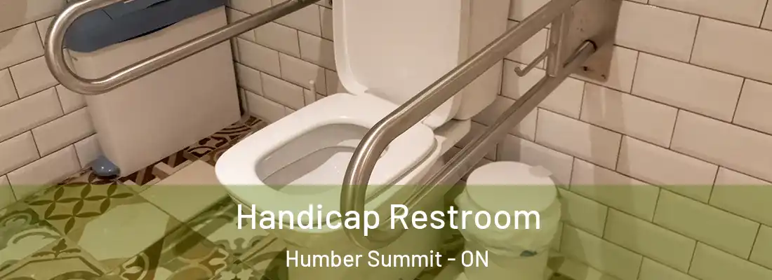  Handicap Restroom Humber Summit - ON
