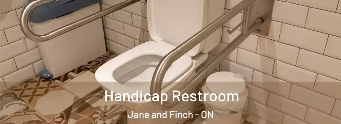  Handicap Restroom Jane and Finch - ON