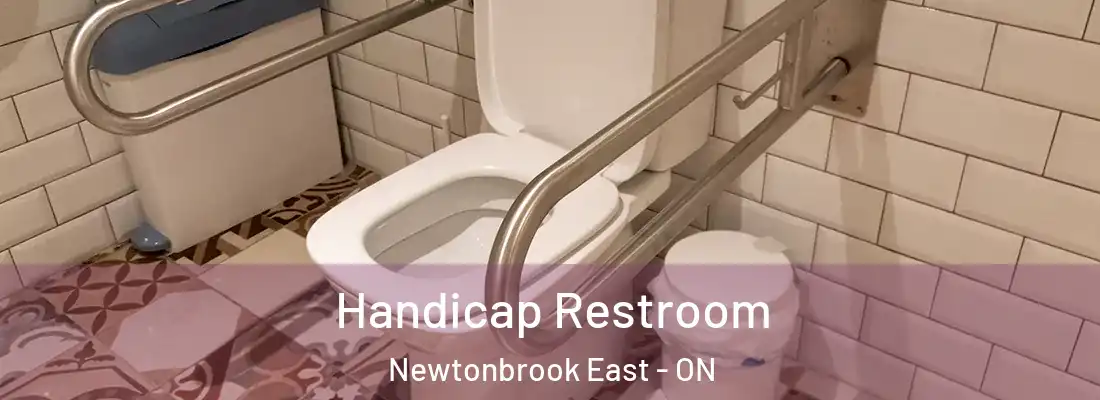  Handicap Restroom Newtonbrook East - ON