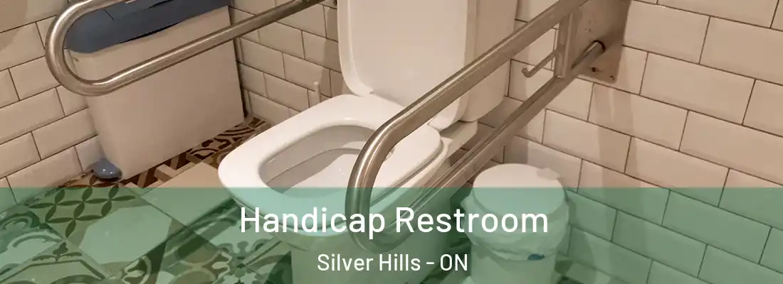  Handicap Restroom Silver Hills - ON