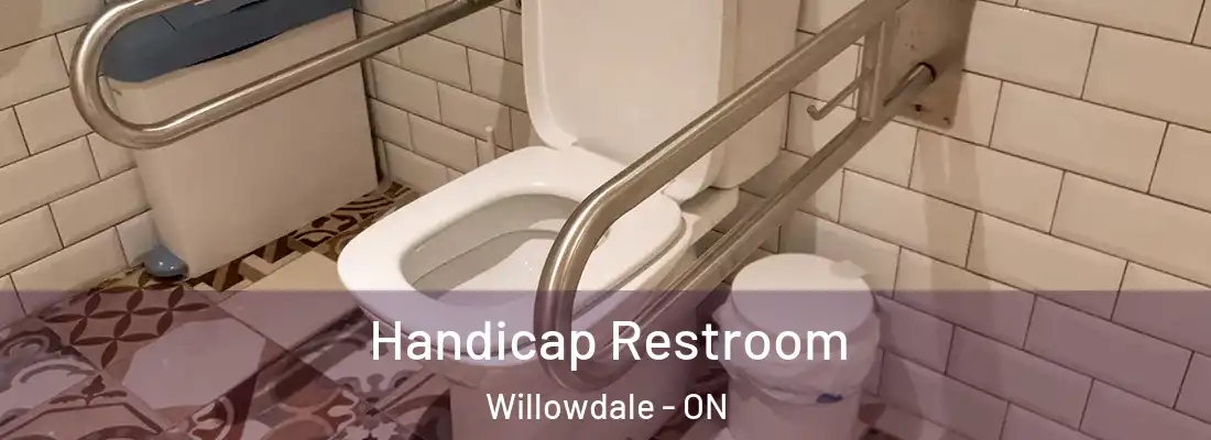  Handicap Restroom Willowdale - ON