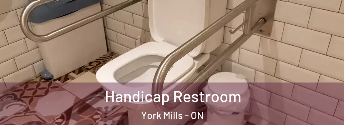  Handicap Restroom York Mills - ON