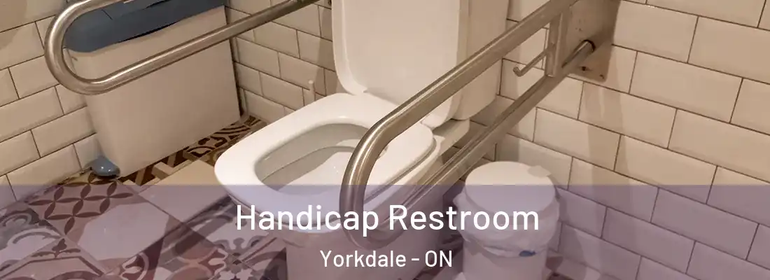  Handicap Restroom Yorkdale - ON