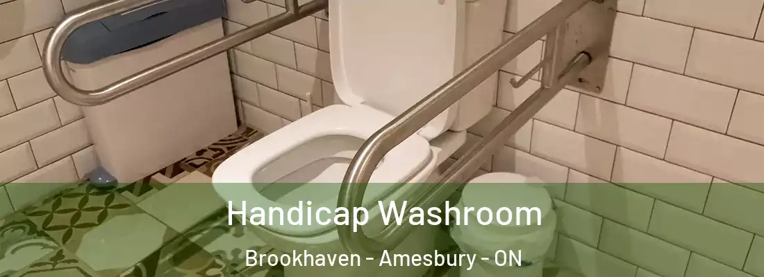  Handicap Washroom Brookhaven - Amesbury - ON