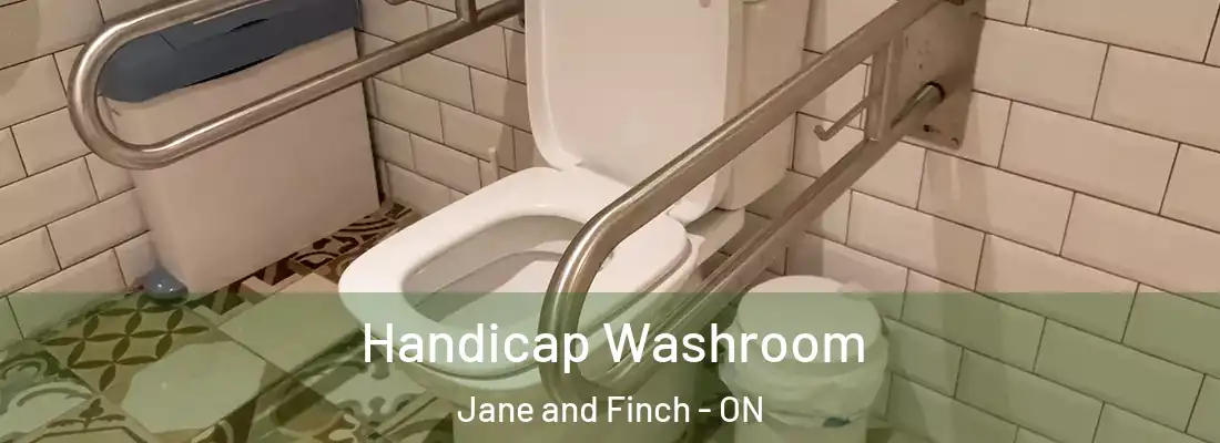  Handicap Washroom Jane and Finch - ON