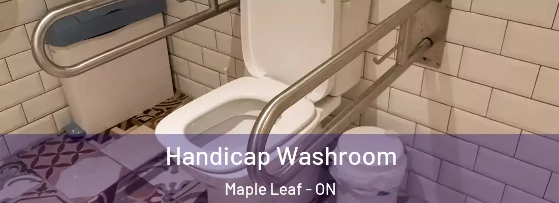  Handicap Washroom Maple Leaf - ON