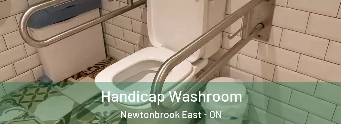  Handicap Washroom Newtonbrook East - ON
