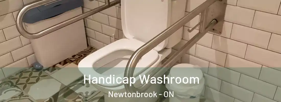  Handicap Washroom Newtonbrook - ON