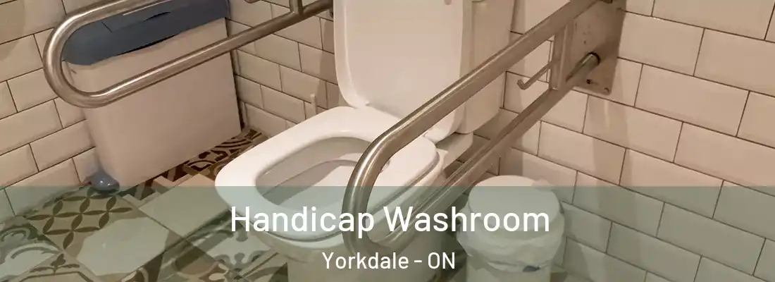  Handicap Washroom Yorkdale - ON
