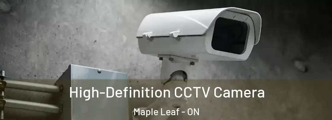  High-Definition CCTV Camera Maple Leaf - ON