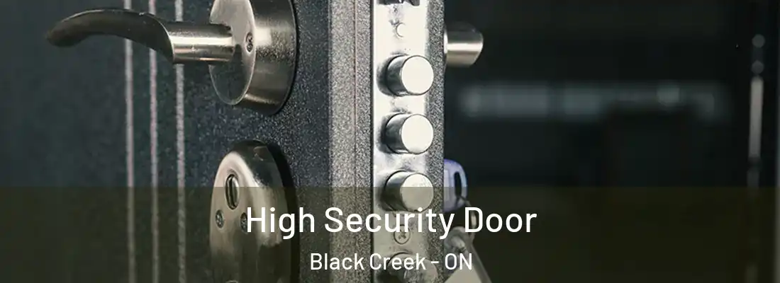  High Security Door Black Creek - ON