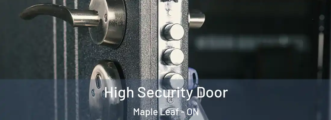  High Security Door Maple Leaf - ON