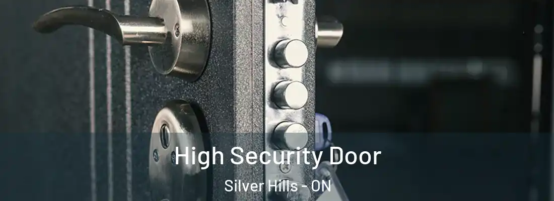  High Security Door Silver Hills - ON
