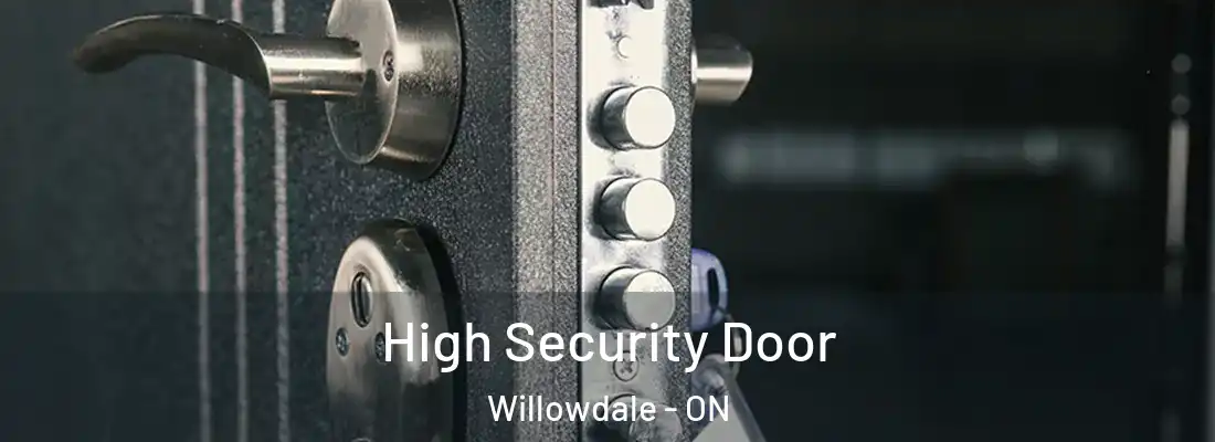  High Security Door Willowdale - ON