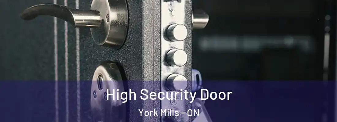  High Security Door York Mills - ON