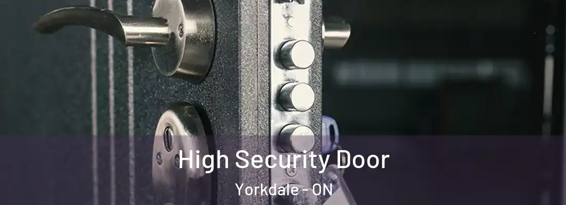  High Security Door Yorkdale - ON
