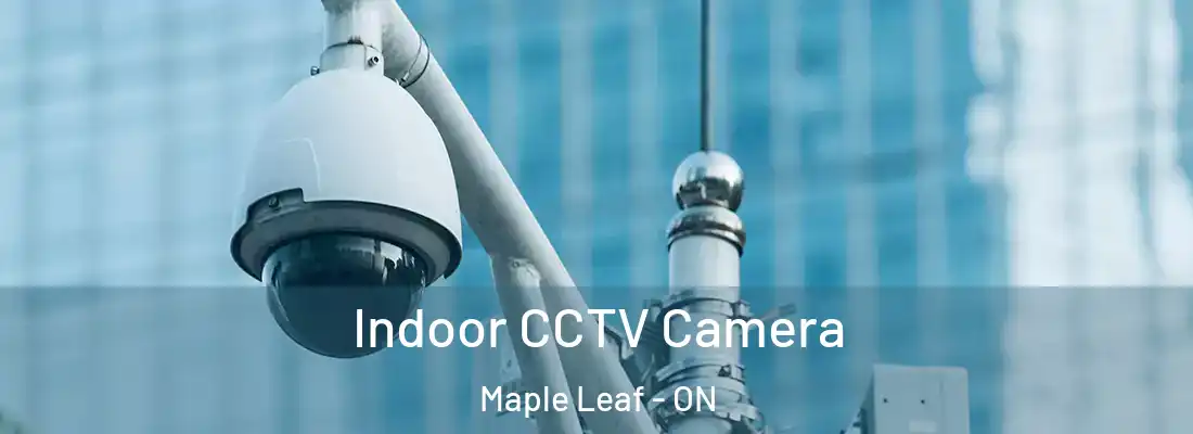  Indoor CCTV Camera Maple Leaf - ON