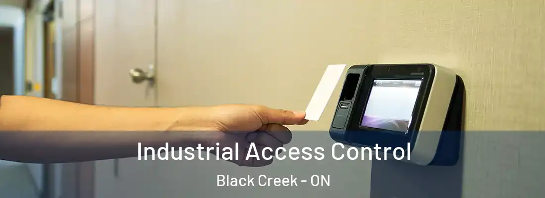  Industrial Access Control Black Creek - ON
