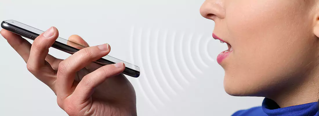 Residential and Commercial Voice Recognition Access Solutions in North york, ON