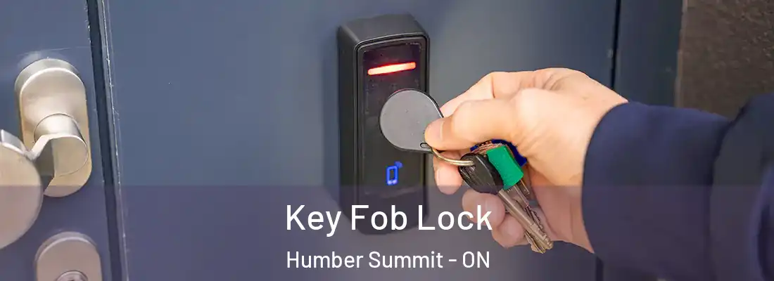  Key Fob Lock Humber Summit - ON
