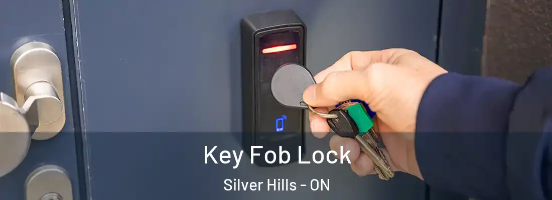  Key Fob Lock Silver Hills - ON