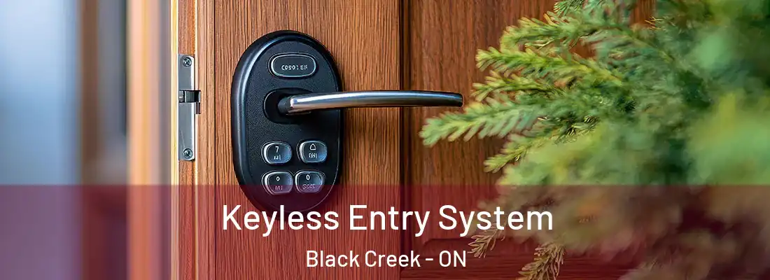  Keyless Entry System Black Creek - ON