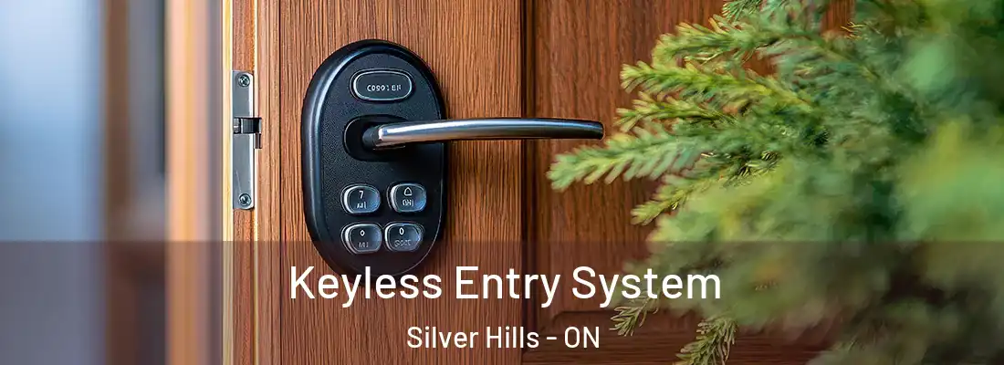  Keyless Entry System Silver Hills - ON