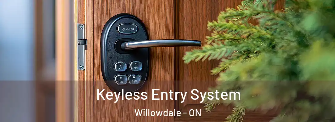  Keyless Entry System Willowdale - ON