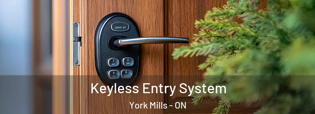  Keyless Entry System York Mills - ON