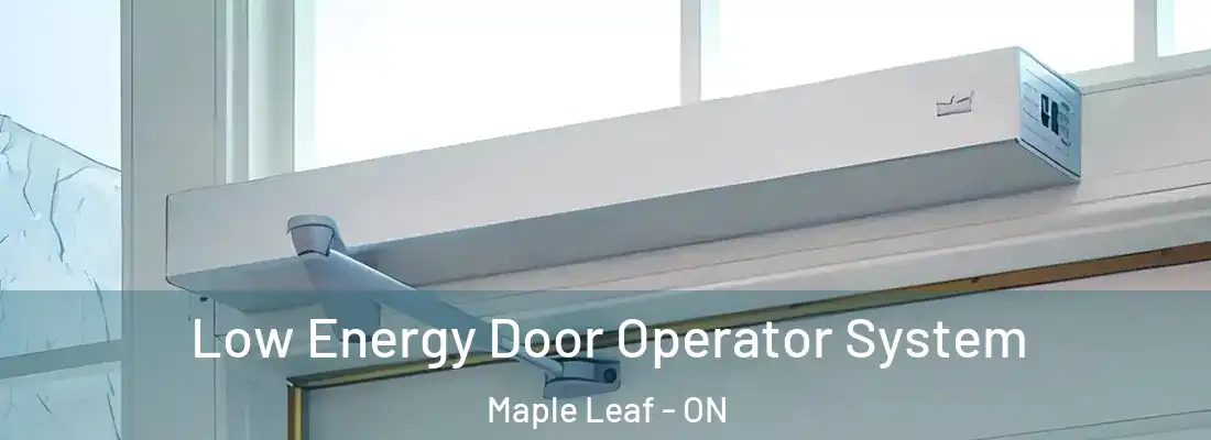  Low Energy Door Operator System Maple Leaf - ON