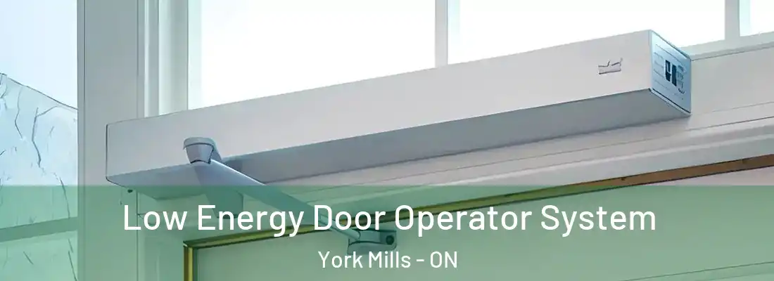  Low Energy Door Operator System York Mills - ON