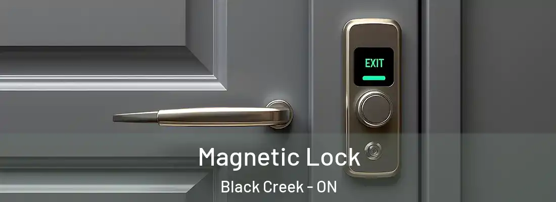  Magnetic Lock Black Creek - ON