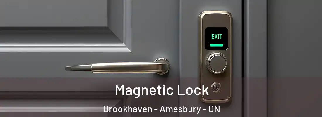  Magnetic Lock Brookhaven - Amesbury - ON