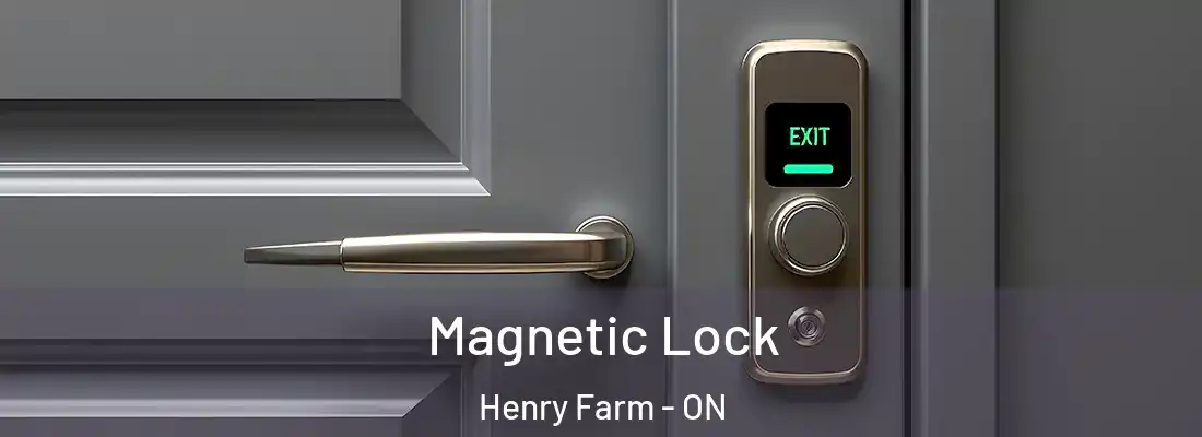 Magnetic Lock Henry Farm - ON