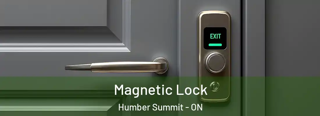  Magnetic Lock Humber Summit - ON