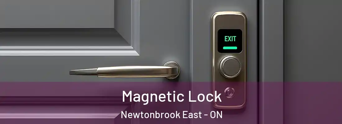  Magnetic Lock Newtonbrook East - ON