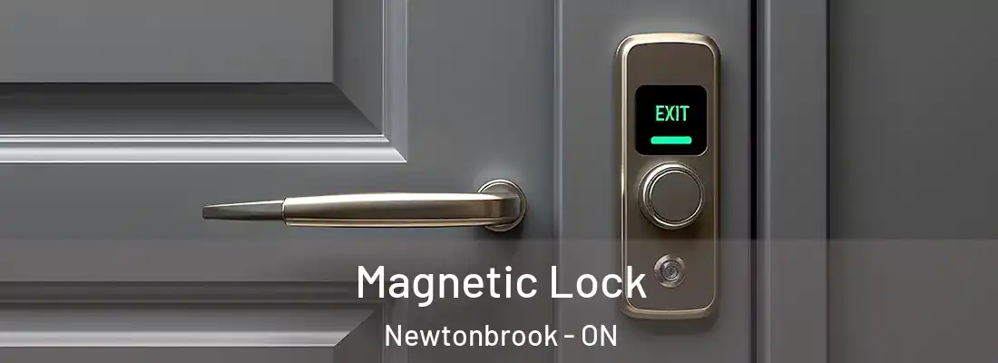  Magnetic Lock Newtonbrook - ON