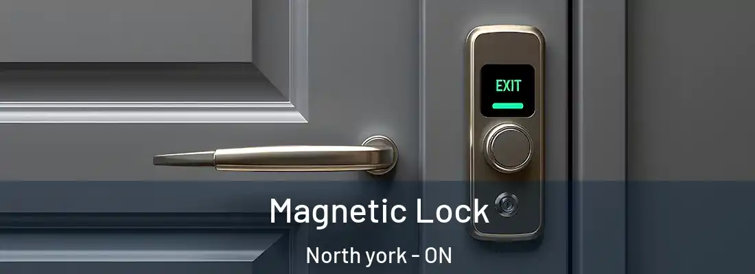  Magnetic Lock North york - ON