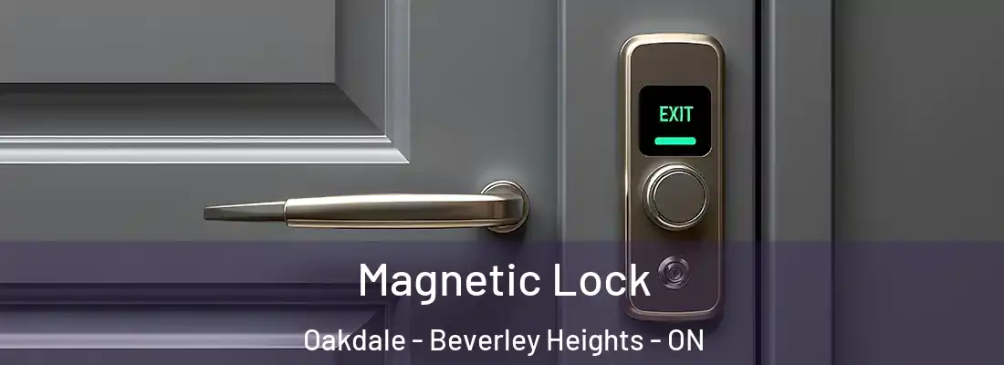  Magnetic Lock Oakdale - Beverley Heights - ON