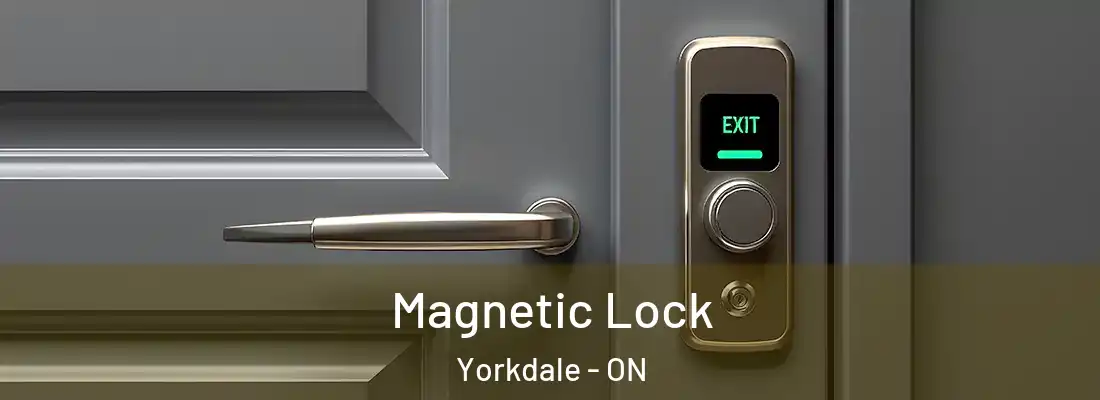  Magnetic Lock Yorkdale - ON