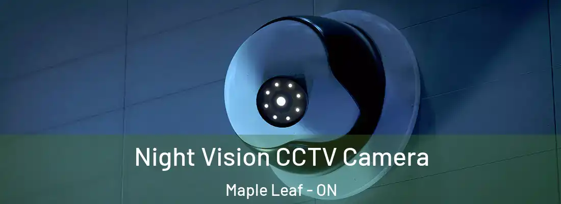  Night Vision CCTV Camera Maple Leaf - ON