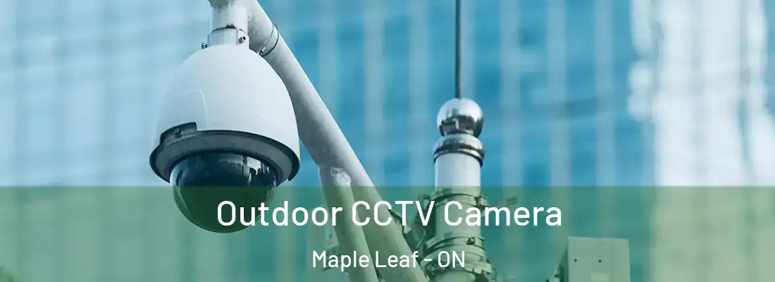  Outdoor CCTV Camera Maple Leaf - ON