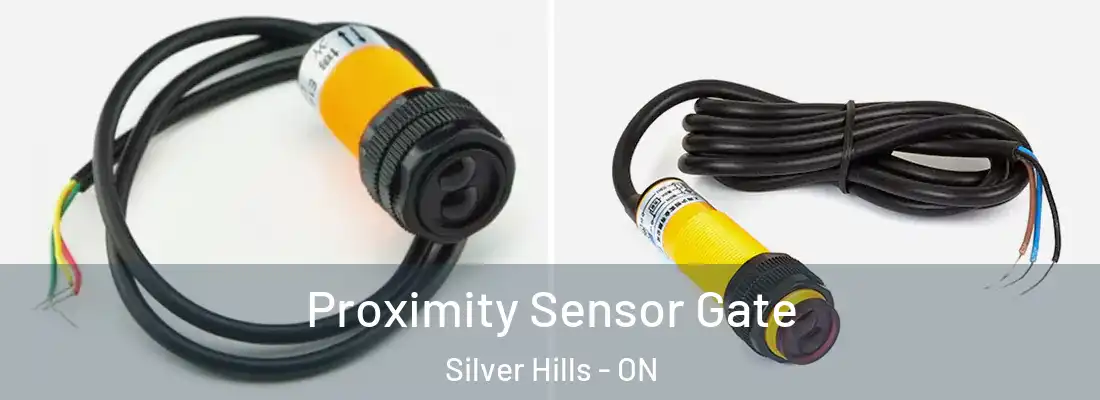  Proximity Sensor Gate Silver Hills - ON