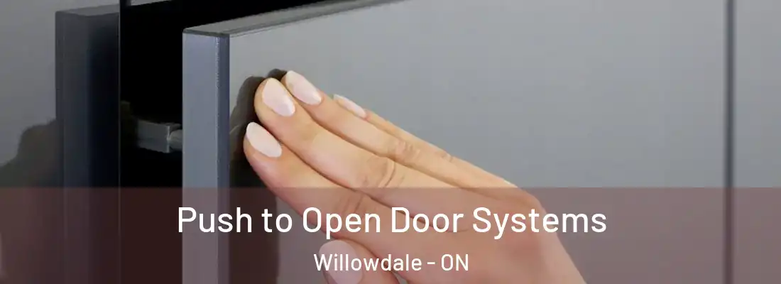  Push to Open Door Systems Willowdale - ON