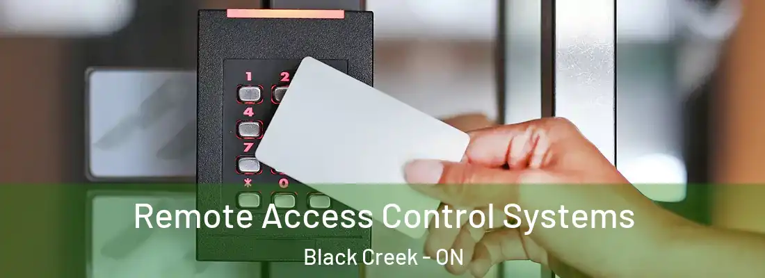  Remote Access Control Systems Black Creek - ON
