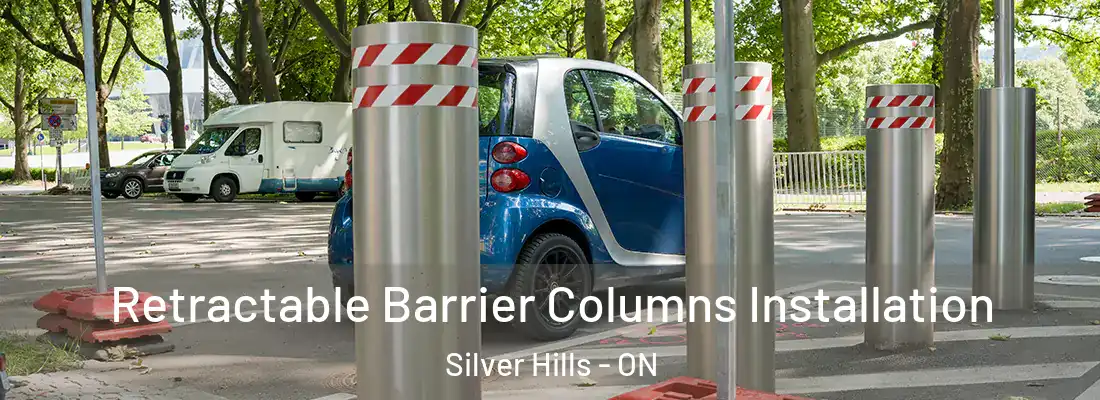  Retractable Barrier Columns Installation Silver Hills - ON