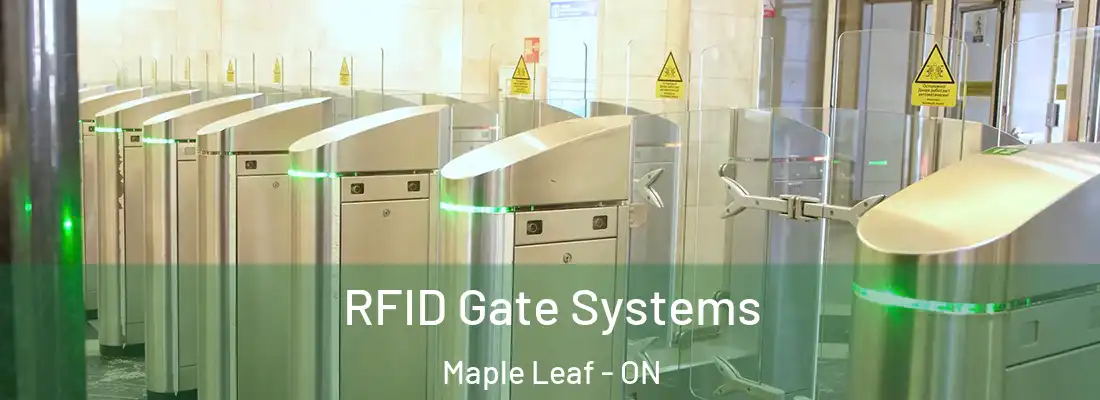  RFID Gate Systems Maple Leaf - ON