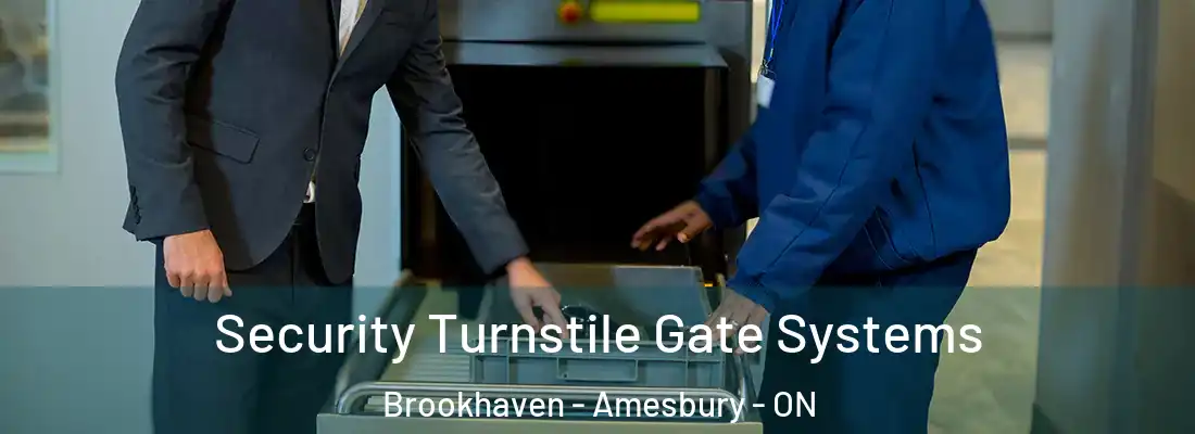  Security Turnstile Gate Systems Brookhaven - Amesbury - ON