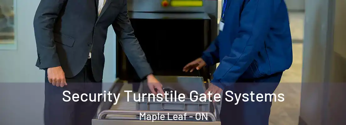  Security Turnstile Gate Systems Maple Leaf - ON